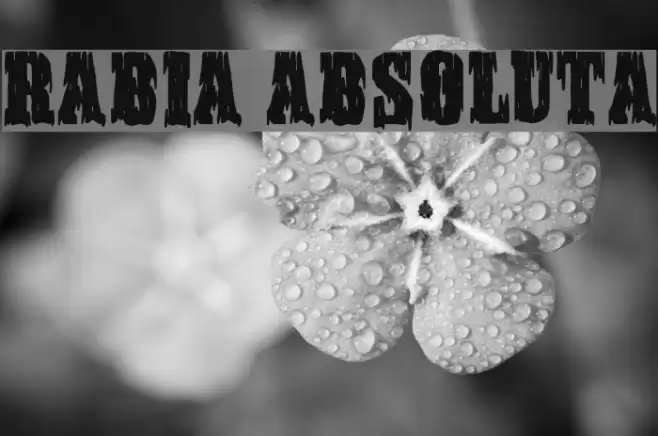 Rabia Absoluta Font examples