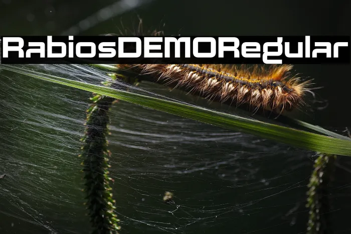 Rabios DEMO Regular Example 3