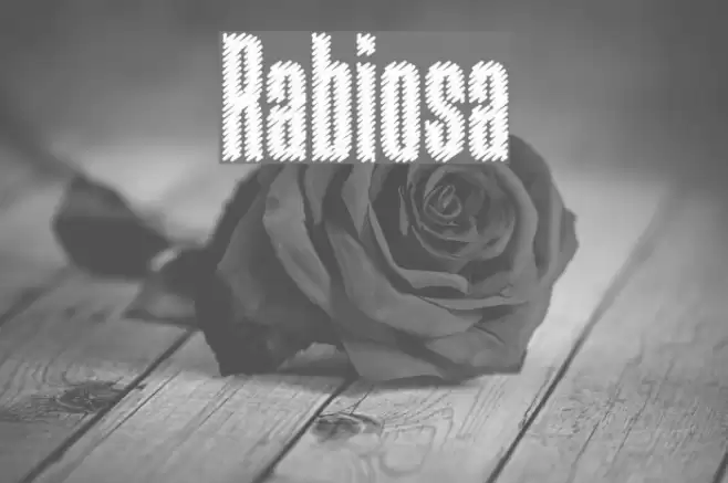 Rabiosa フォント examples