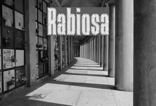 Rabiosa フォント examples