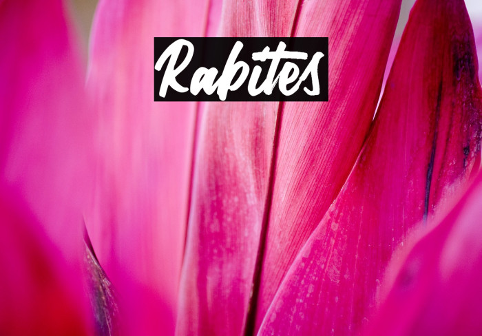 Rabites Font examples