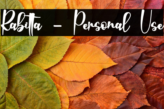 Rabitta - Personal Use Example 2