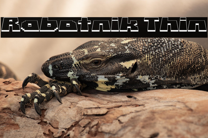 Rabotnik Thin Example 2