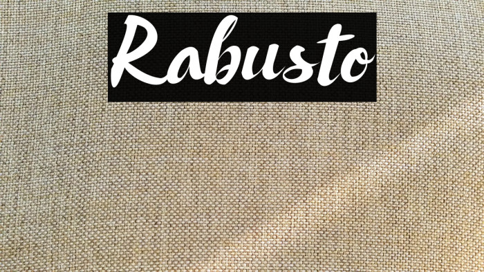 Rabusto Example 2