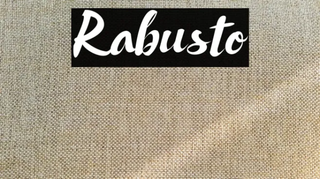 Rabusto Example 2