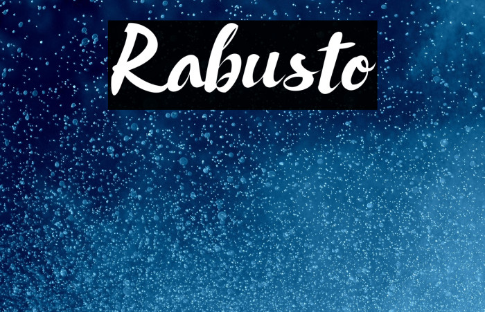Rabusto Example 3