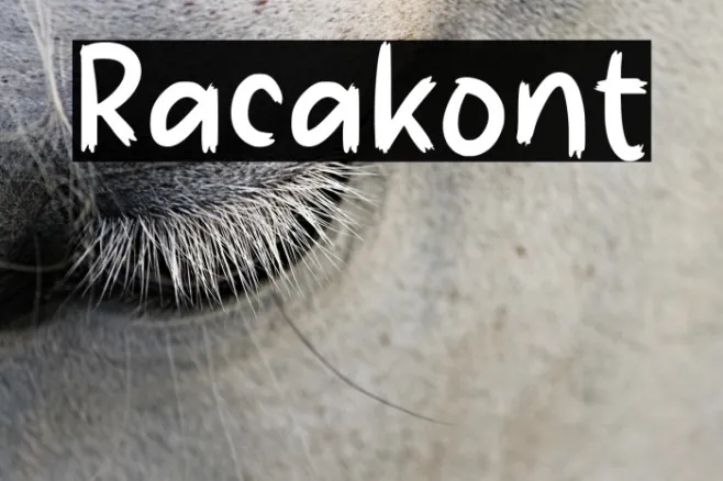 Racak Example 2