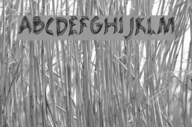 Racana Font examples