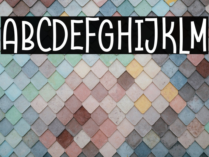 Raccoon Demo Example 1