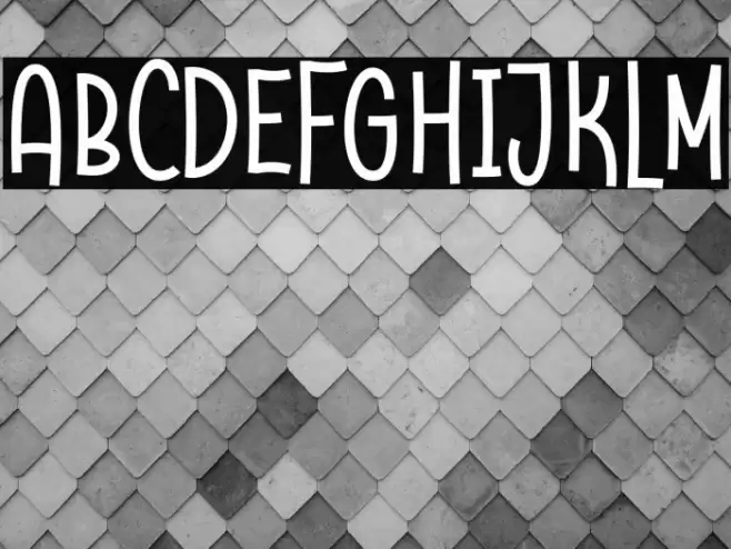 Raccoon Demo Font examples