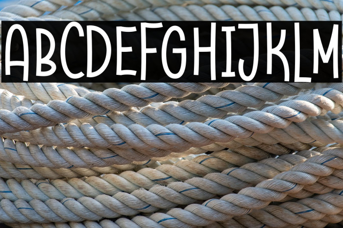 Raccoon Demo Example 2