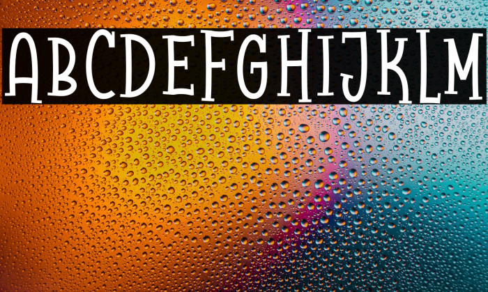 Raccoon Serif Demo Example 2