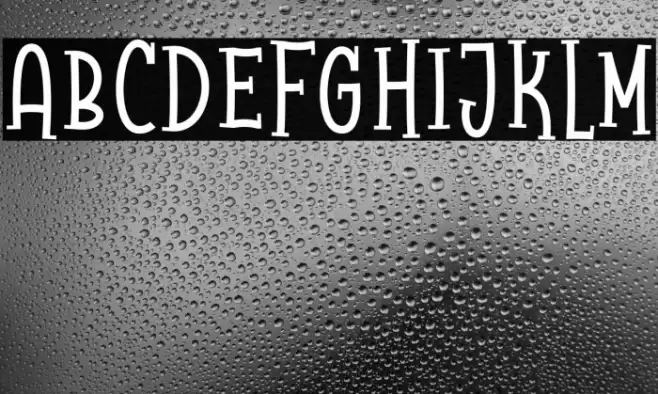 Raccoon Serif Demo Font examples