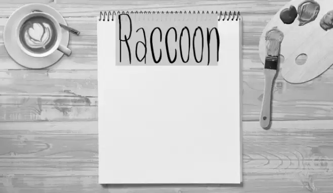 Raccoon Font examples
