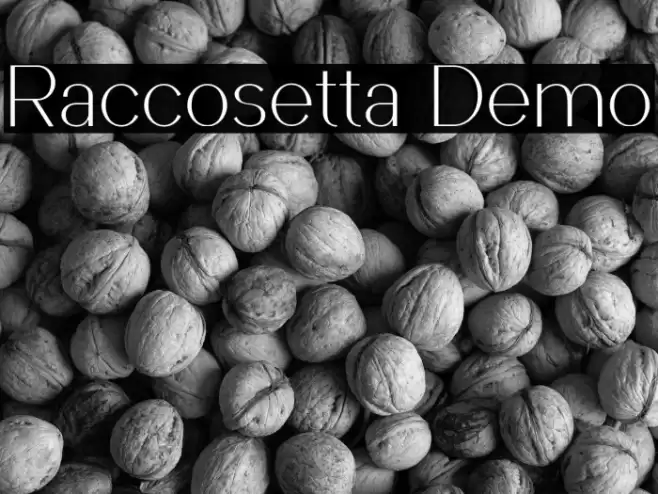 Raccosetta Demo Font examples