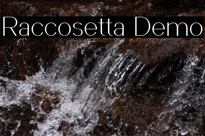 Raccosetta Demo Example 2