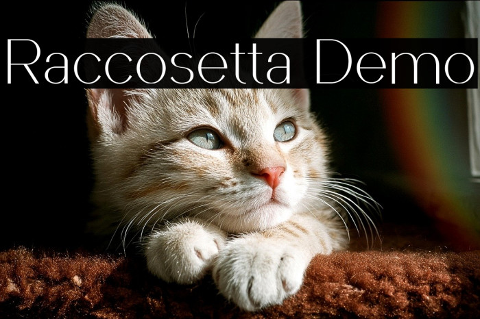 Raccosetta Demo Example 3