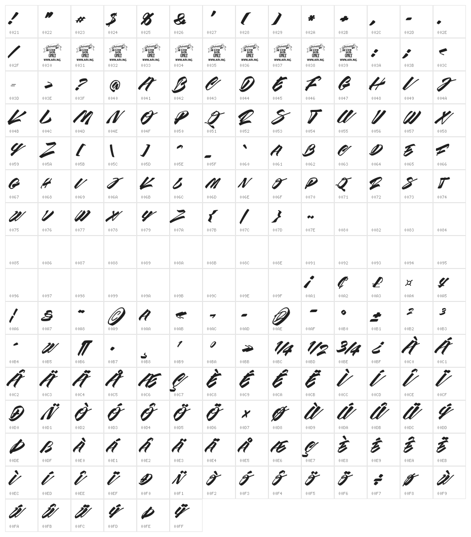 Race Fever Brush PERSONAL Character Map