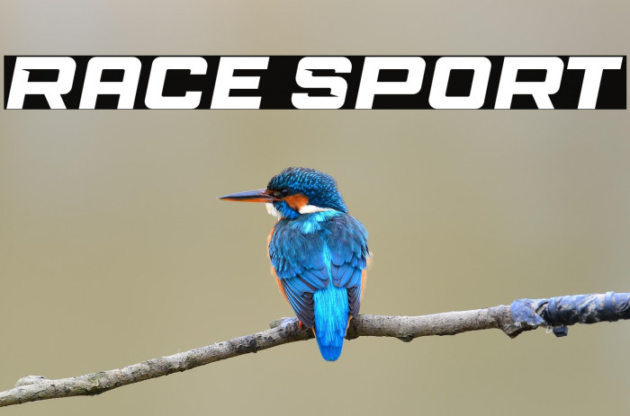 Race Sport Example 1