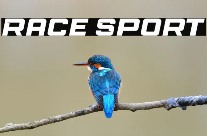 Race Sport Example 1