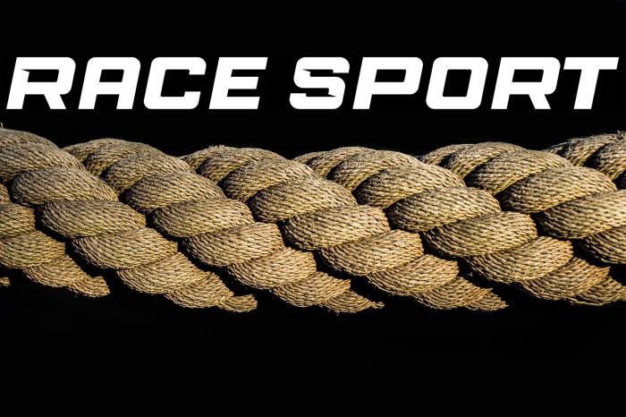 Race Sport Example 2