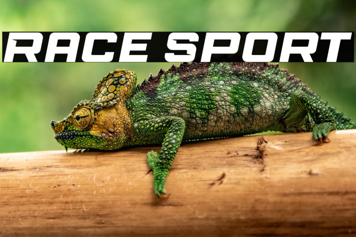 Race Sport Example 3