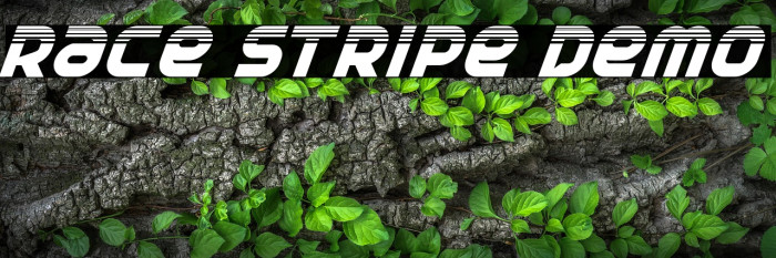 Race Stripe Demo Example 3