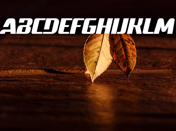 Raceline Demo Example 2