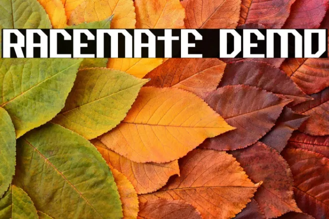Racemate Demo Example 1