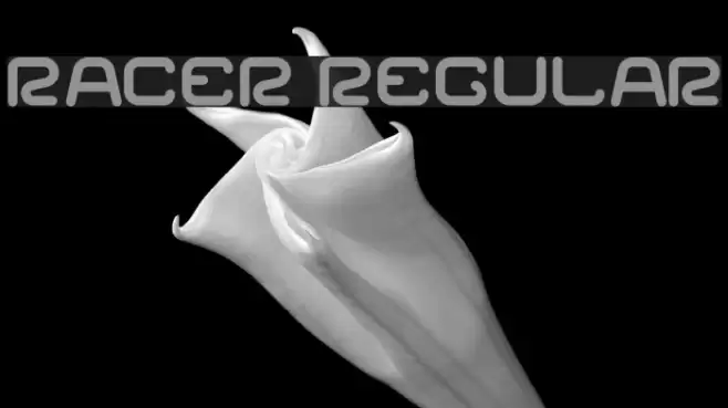Racer Regular خط examples