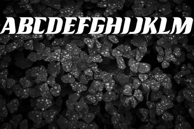 Racesky Font examples