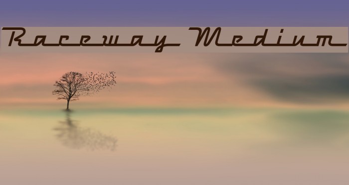 Raceway Medium Font examples