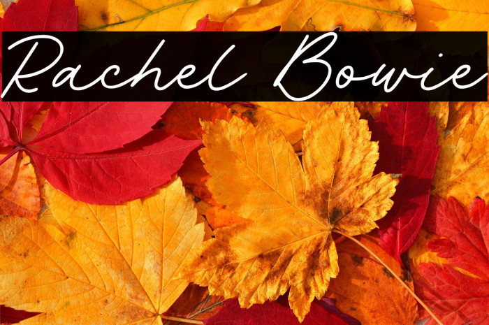 Rachel Bowie Example 2