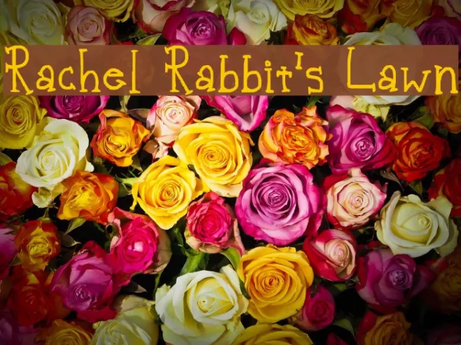 Rachel Rabbit's Lawn Example 3
