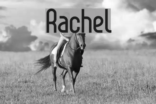 Rachel Font examples
