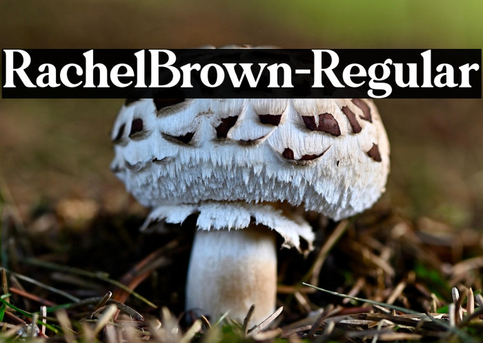 RachelBrown-Regular Example 1