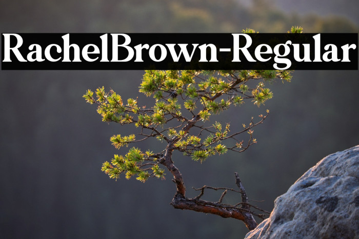 RachelBrown-Regular Example 2