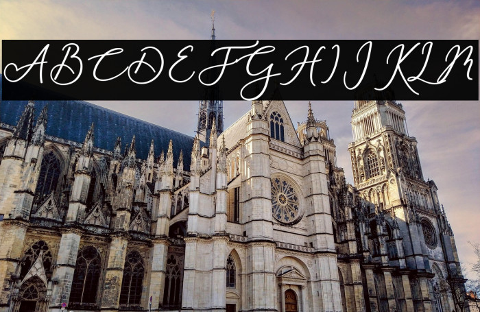 RachelaBold Example 1