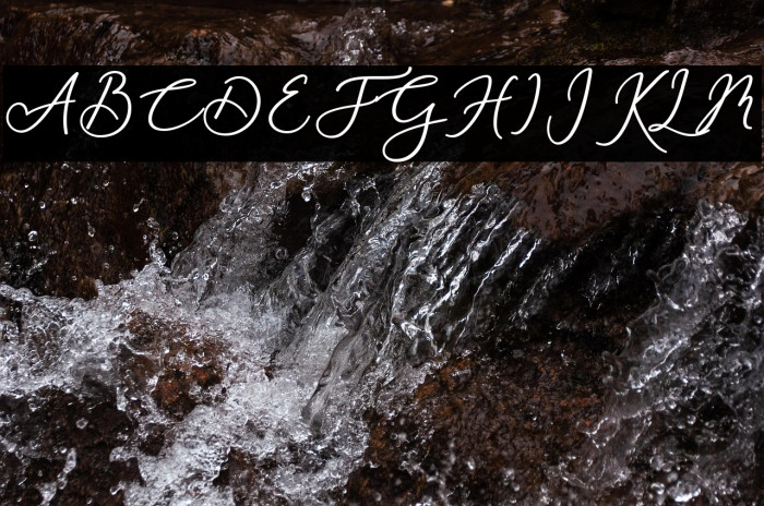 RachelaBold Example 3