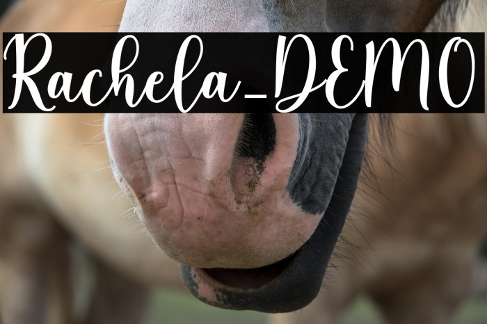 Rachela_DEMO Example 2