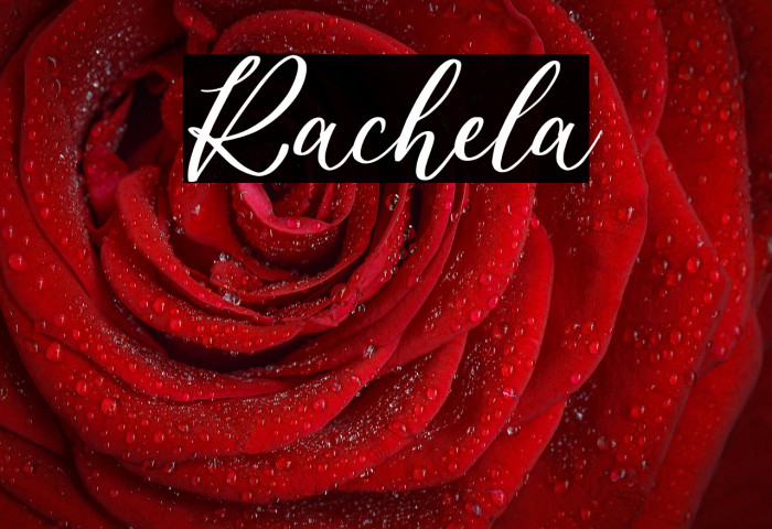 Rachela Example 3