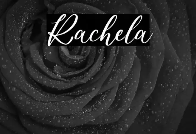 Rachela Font examples