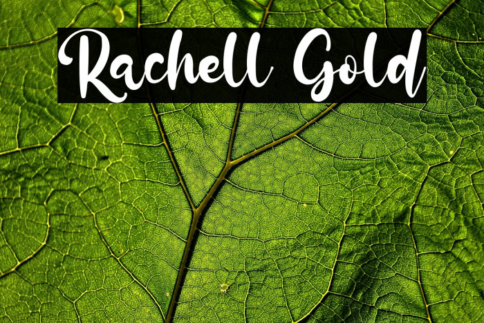 Rachell Gold Example 2