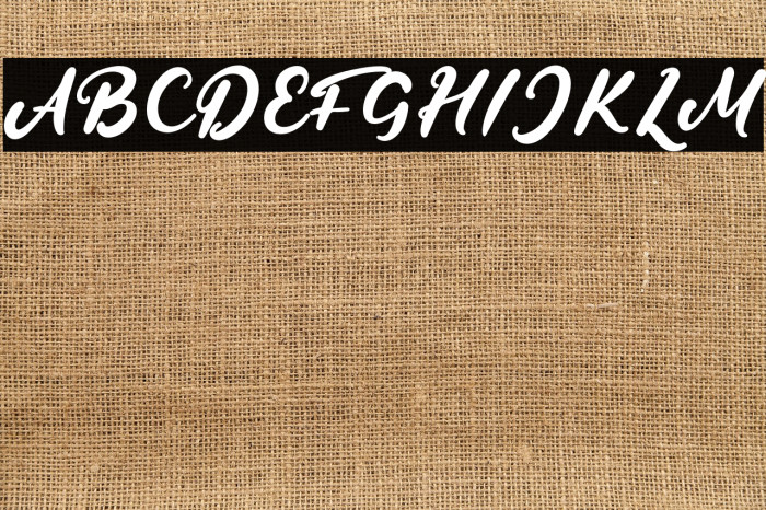 RachelleStern Example 2