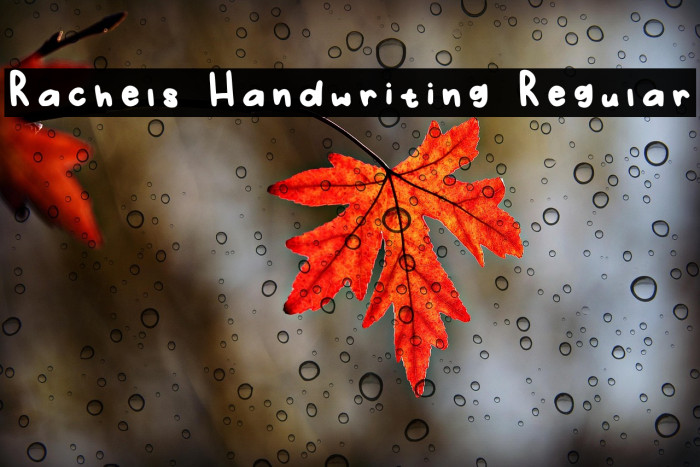 Rachels Handwriting Regular फ़ॉन्ट examples
