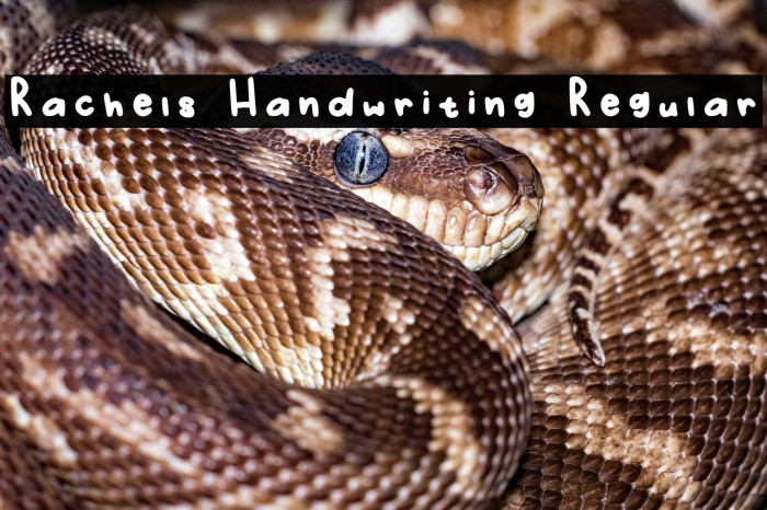 Rachels Handwriting Regular फ़ॉन्ट examples