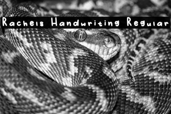Rachels Handwriting Regular Font examples