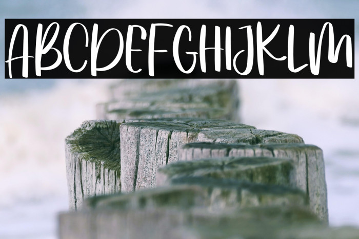 Rachels Snowlover Example 1