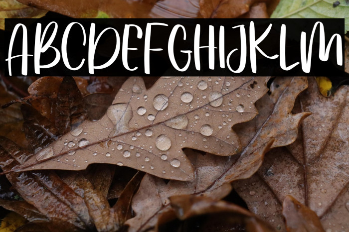 Rachels Snowlover Example 2