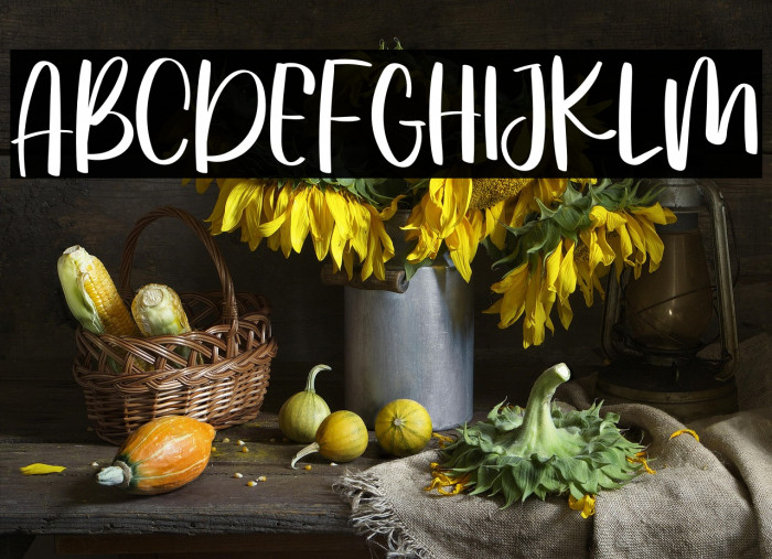 Rachels Snowlover Example 3